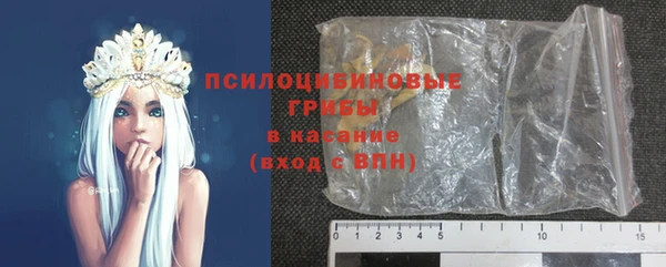 крисы Баксан