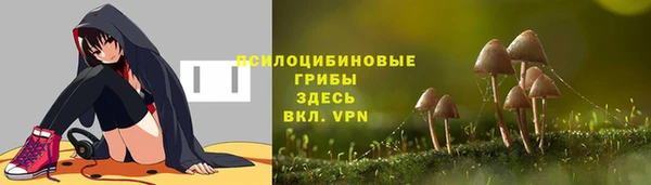 прущий лед Арсеньев