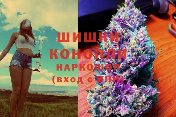 гидра Аркадак