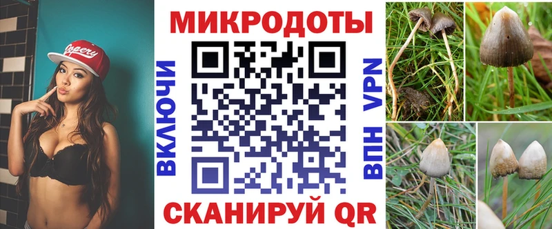 Галлюциногенные грибы прущие грибы  где можно купить   Белозерск 
